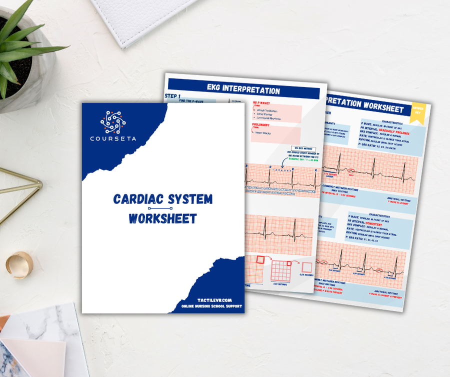 Sample of our Popular Flashcards